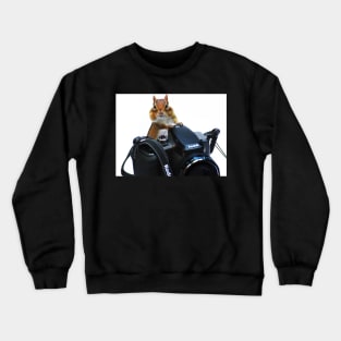 The Photographer's Assistant Crewneck Sweatshirt